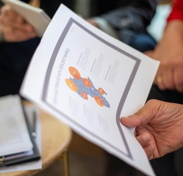 data coordination brief summary