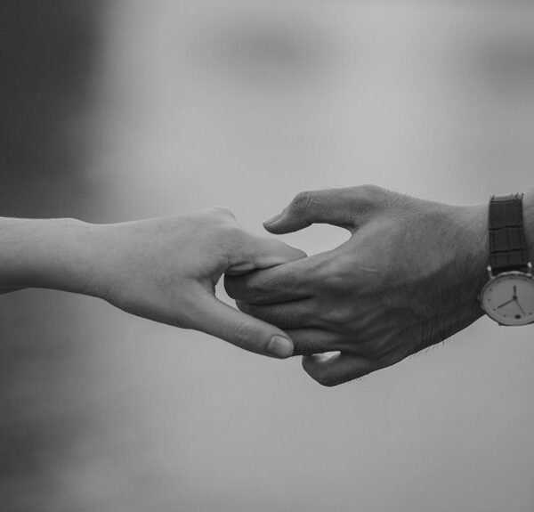 dataset reliability statement summary