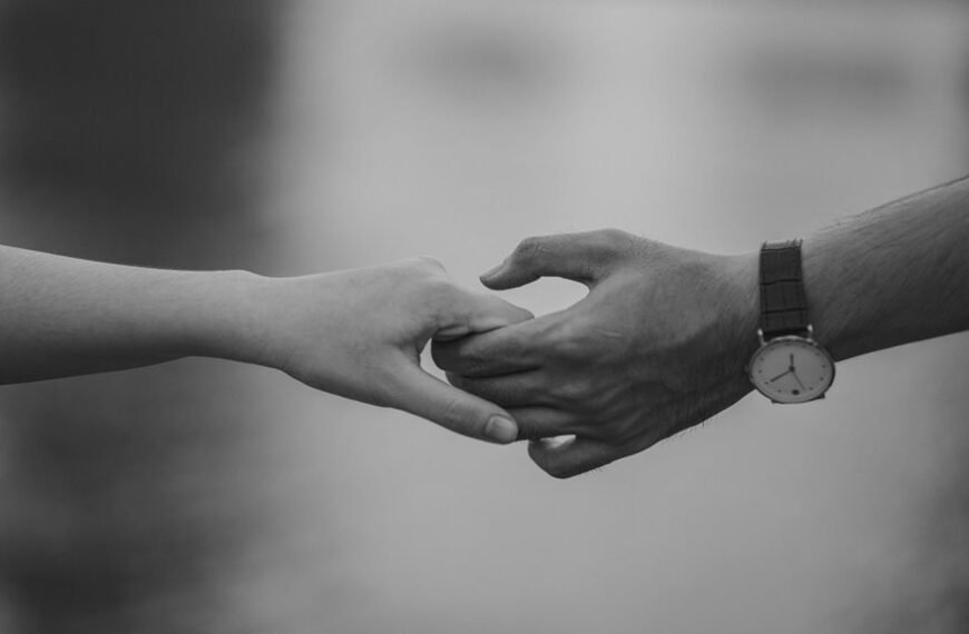 dataset reliability statement summary