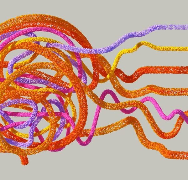 institutional data reference numbers