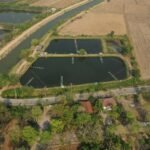 quantitative identifier control summary