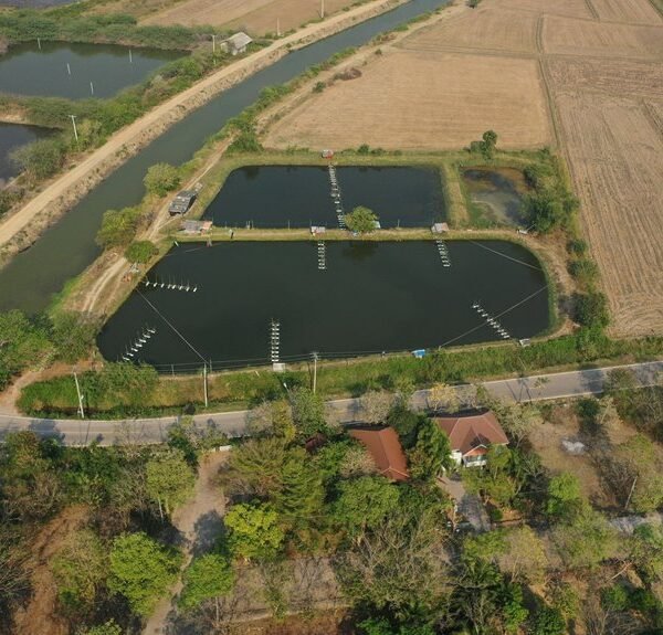 quantitative identifier control summary