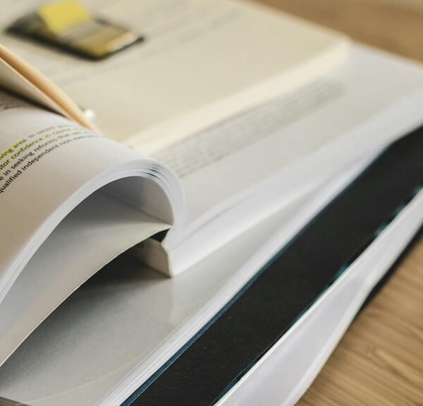 quantitative reference integrity brief